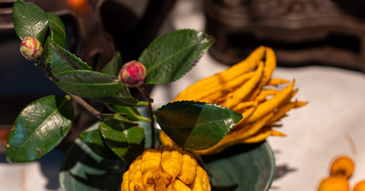 How to Evaluate Service Packages from Mechanics